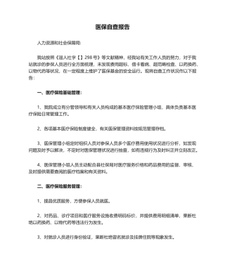 2025年医保自查报告