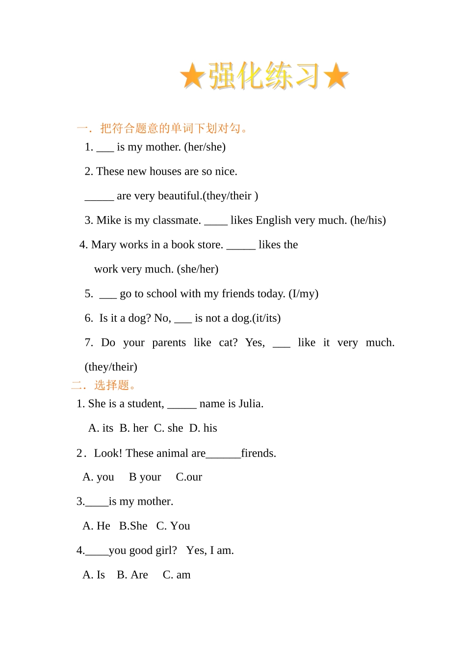 2025年人称代词练习题二_第1页