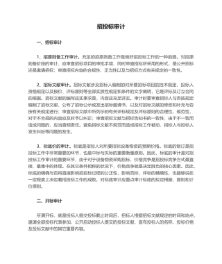 2025年招投标审计关注点