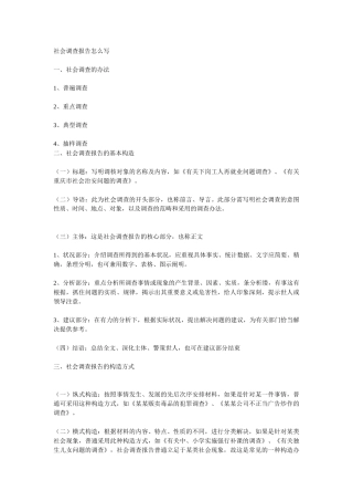 2025年社会调查报告怎么写