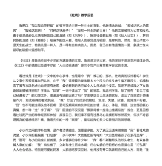 2025年社戏教学反思