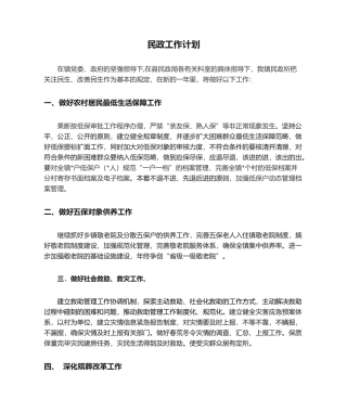 2025年民政工作计划