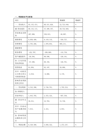 2025年利润表分析案例