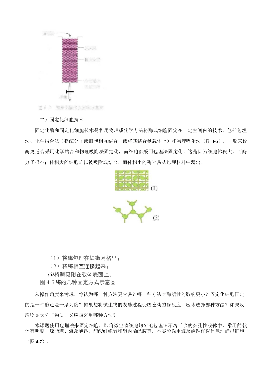 课题3 酵母细胞的固定化_第2页