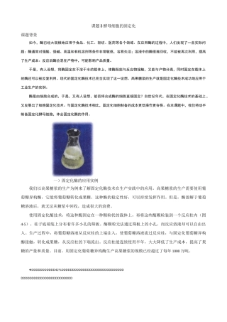 课题3 酵母细胞的固定化