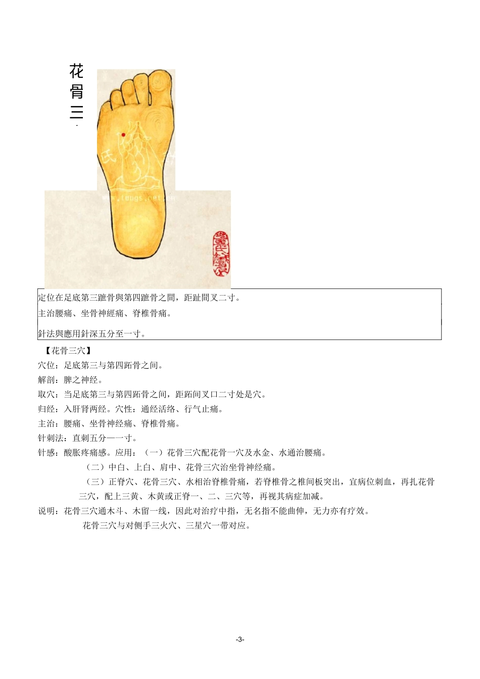 董氏针灸五五脚趾部位_第3页
