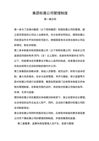 集团权属公司管理制度