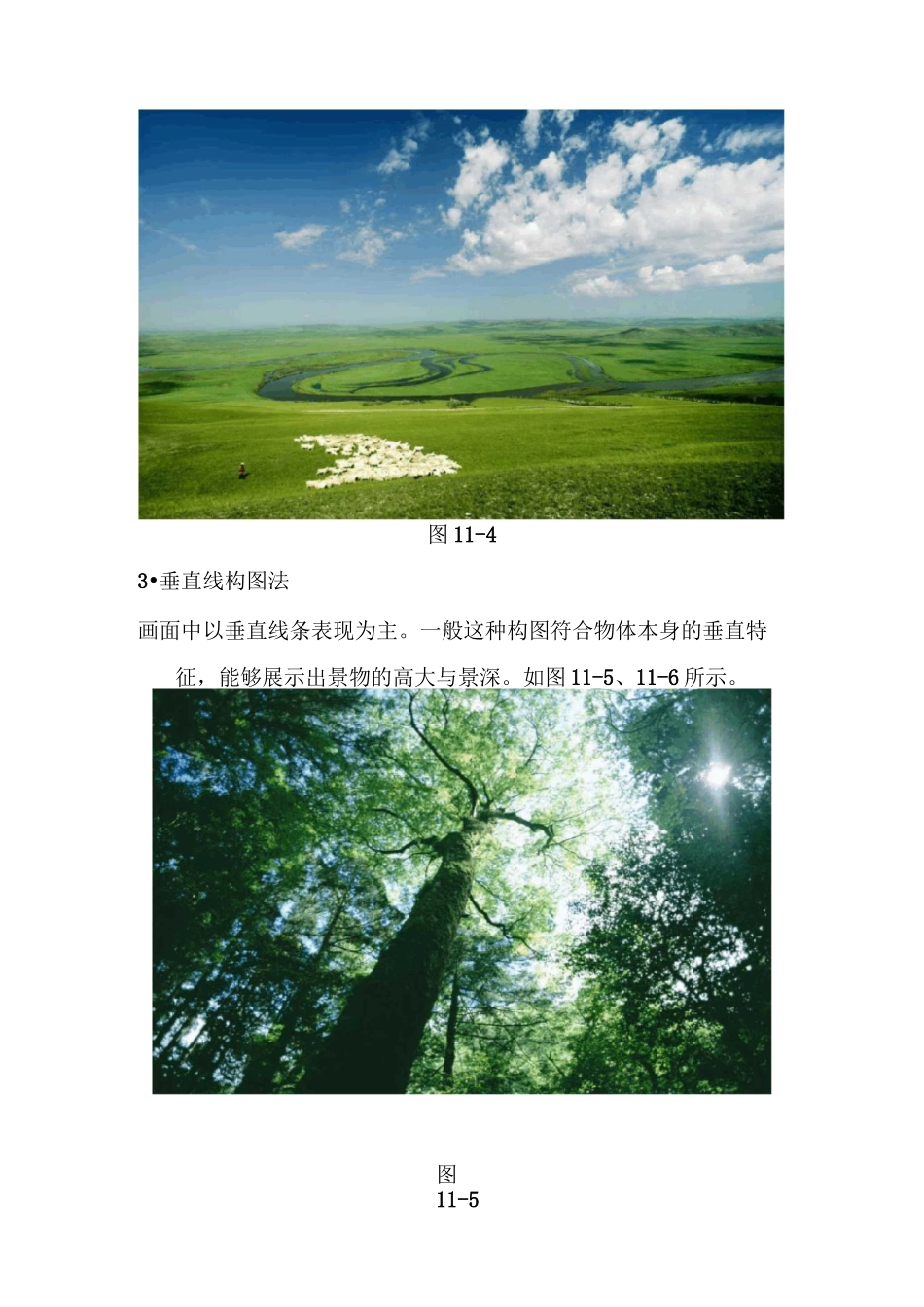 常见构图技巧_第3页