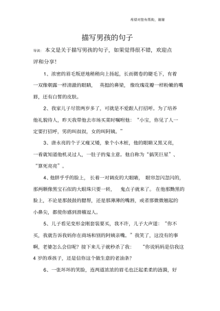 描写男孩的句子