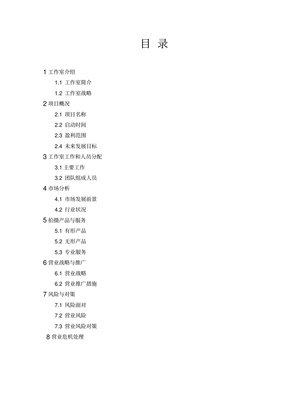 摄影工作室创业项目策划书_第2页