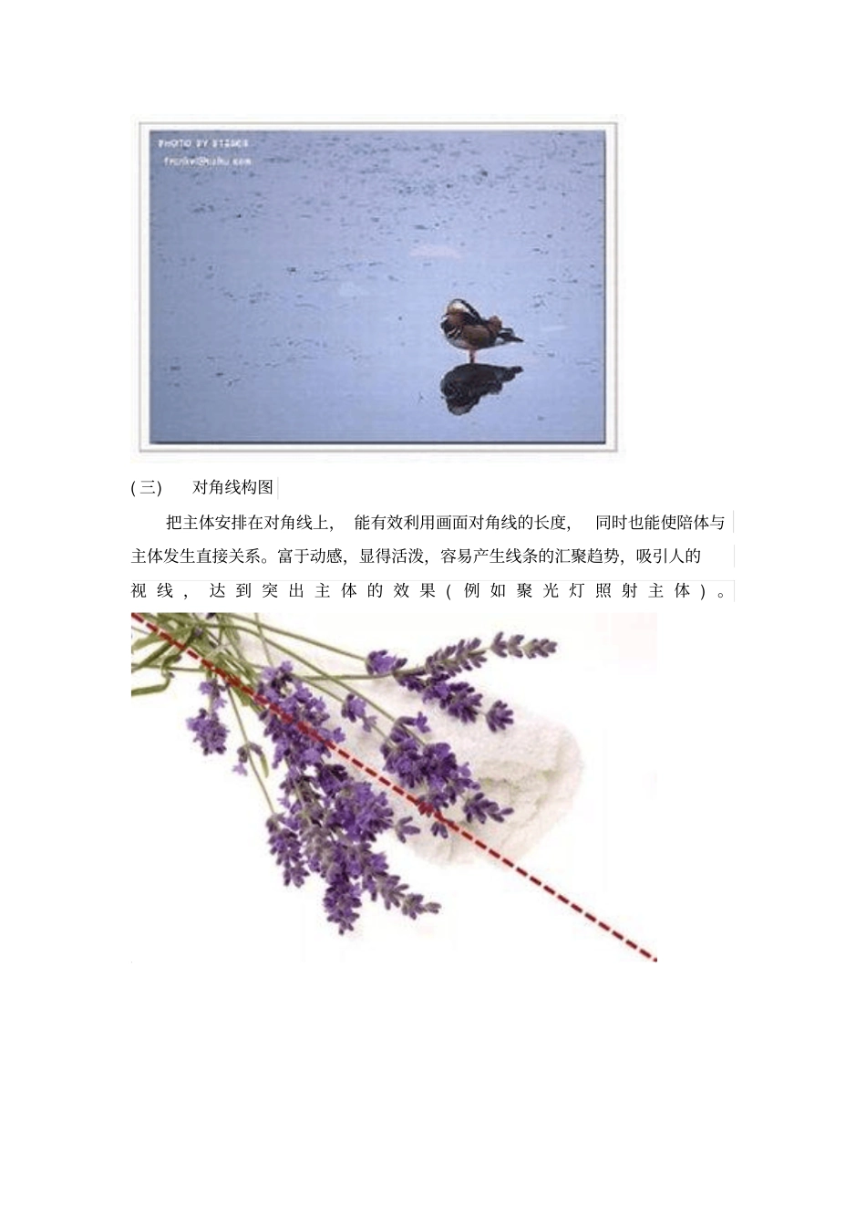 摄影基本构简介及不同场合摄影注意事项重点讲义资料_第2页