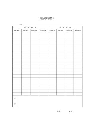 收入支出金额预算表