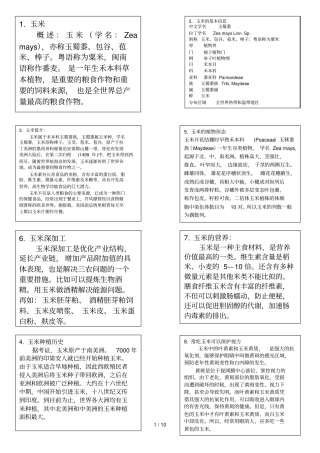 收集信息学生用片文档