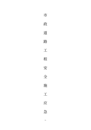 政道路安全应急预案