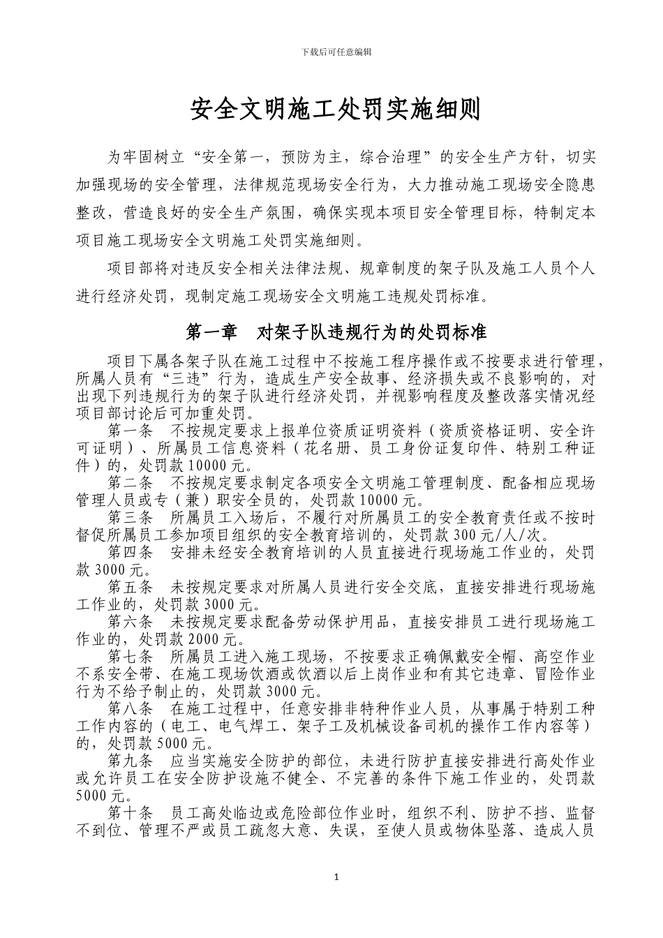安全文明施工处罚实施细则_第1页