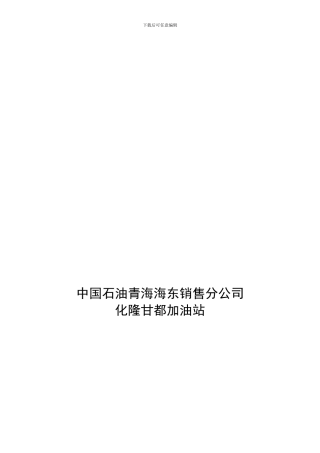 安全条件报告.