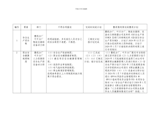 安全标准化不符合项整改情况汇总表.