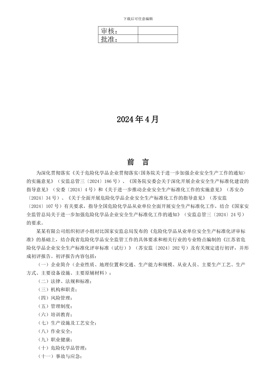 安全标准化初始评审报告模版_第2页