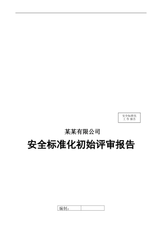 安全标准化初始评审报告模版