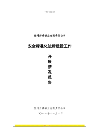 安全标准化达标建设开展情况工作报告
