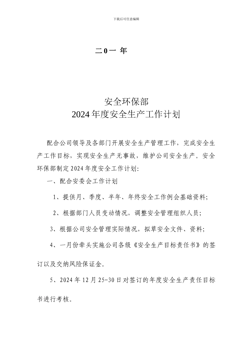 安全环保剖2024年度安全工作计划._第2页