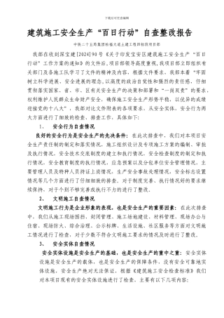 安全生产“百日行动”自查报告
