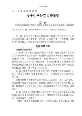 安全生产处罚实施细则.