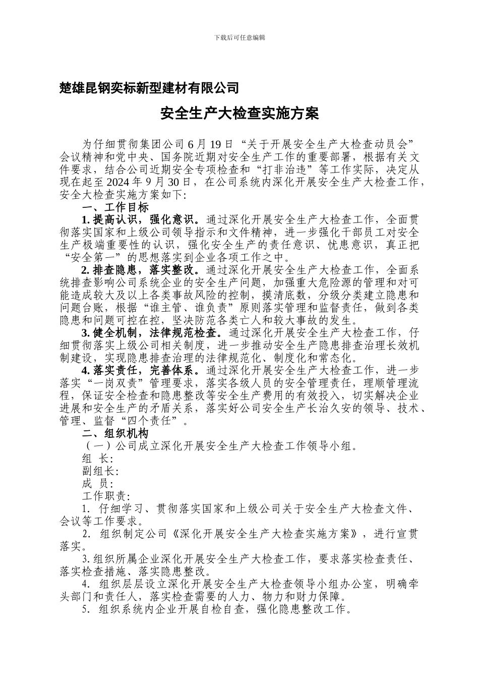 安全生产大检查方案._第1页