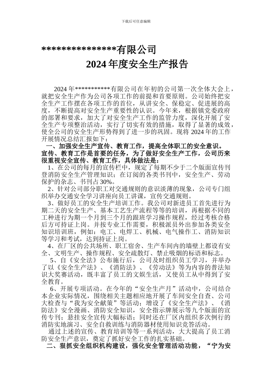 安全生产年度报告._第1页