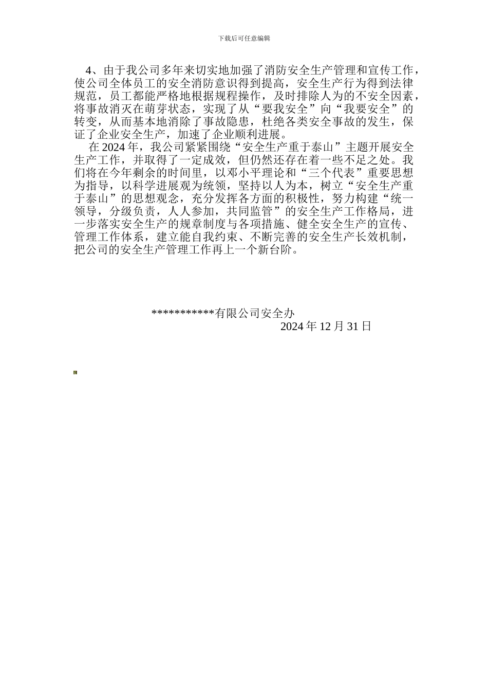 安全生产年度报告._第3页