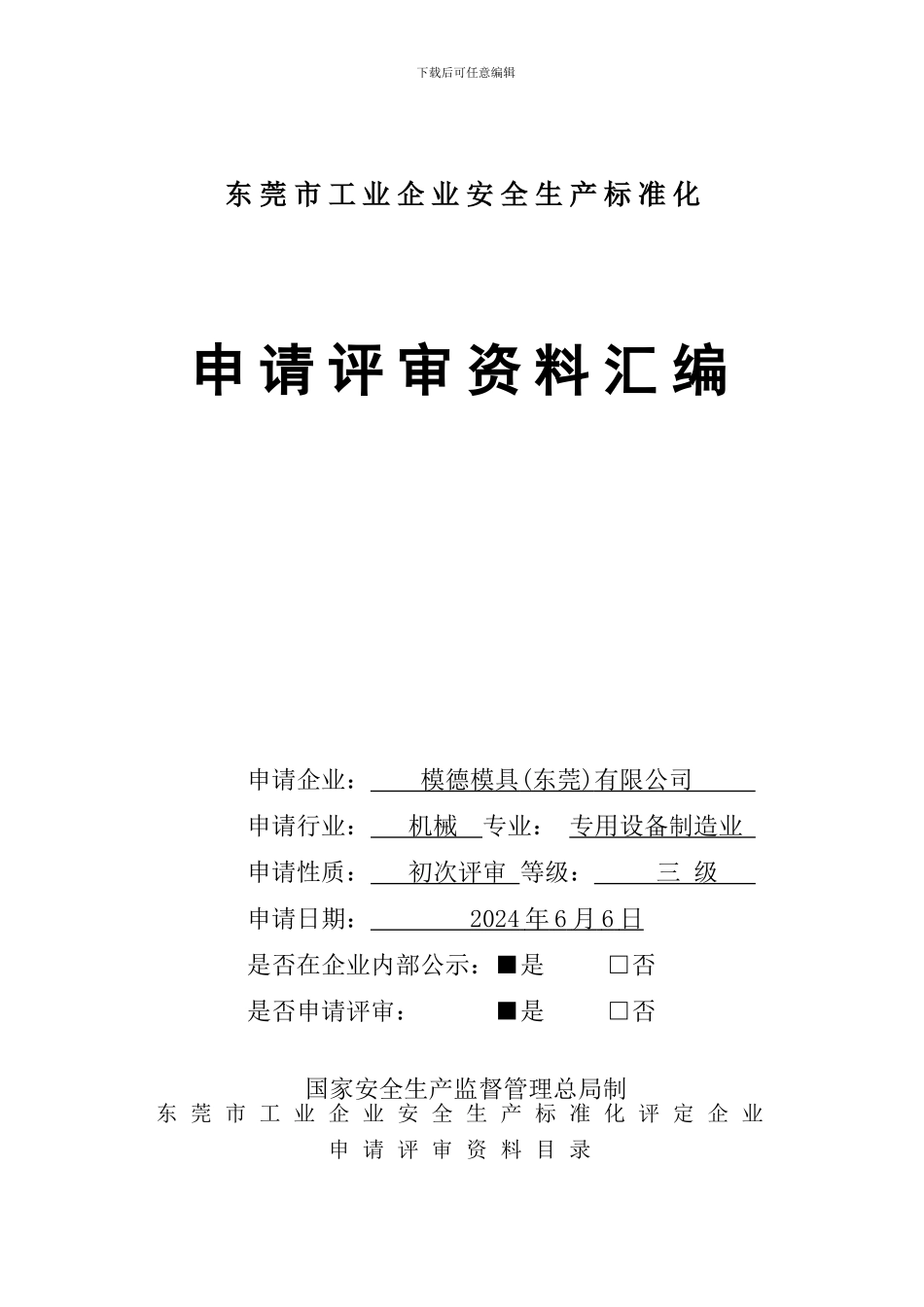 安全生产标准化-自评报告编写模板_第1页