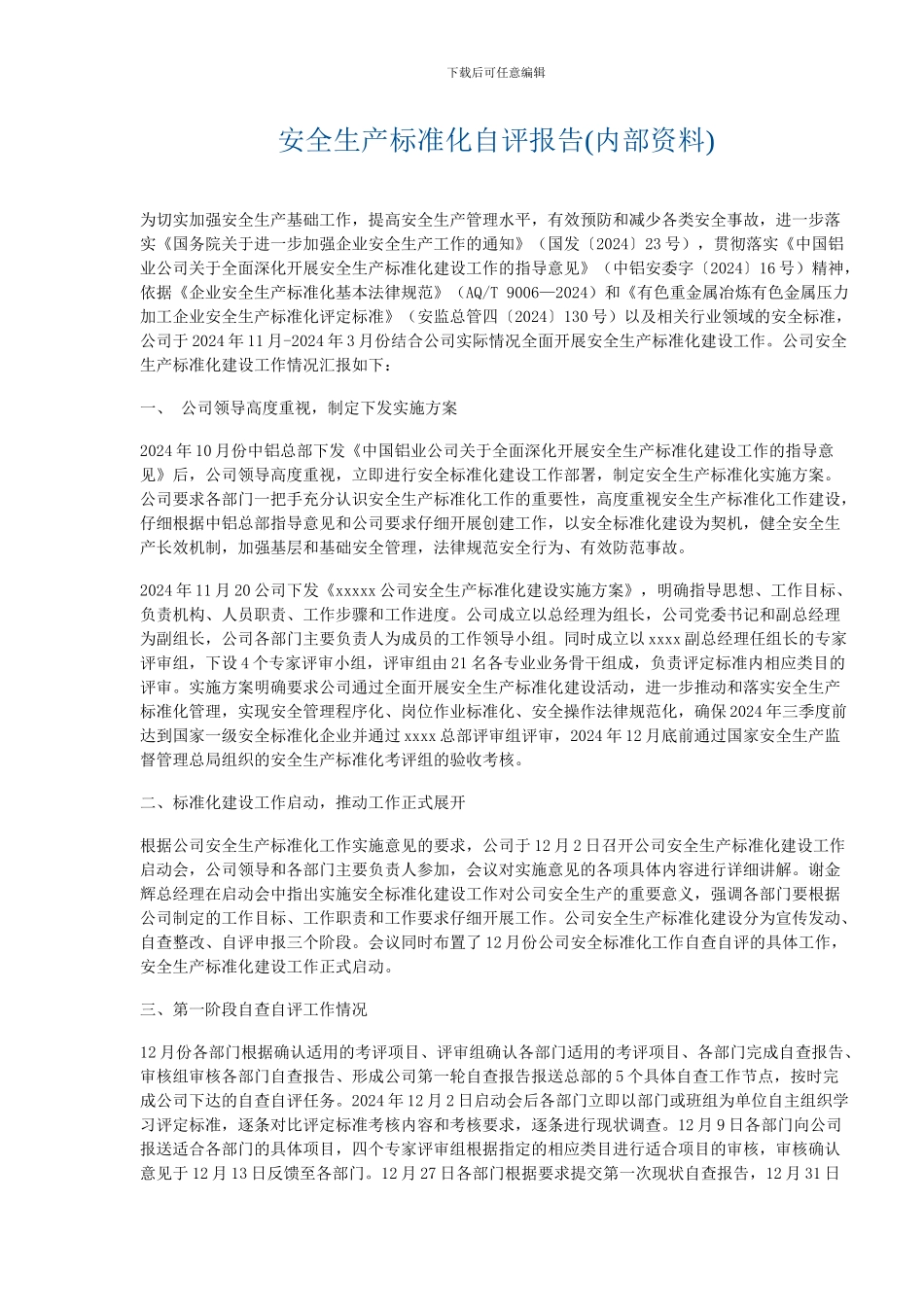 安全生产标准化自评报告(内部资料)_第1页