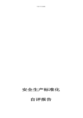安全生产标准化自评报告.
