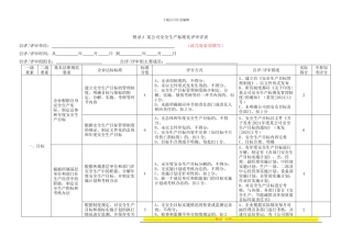 安全生产标准化评审报告样本
