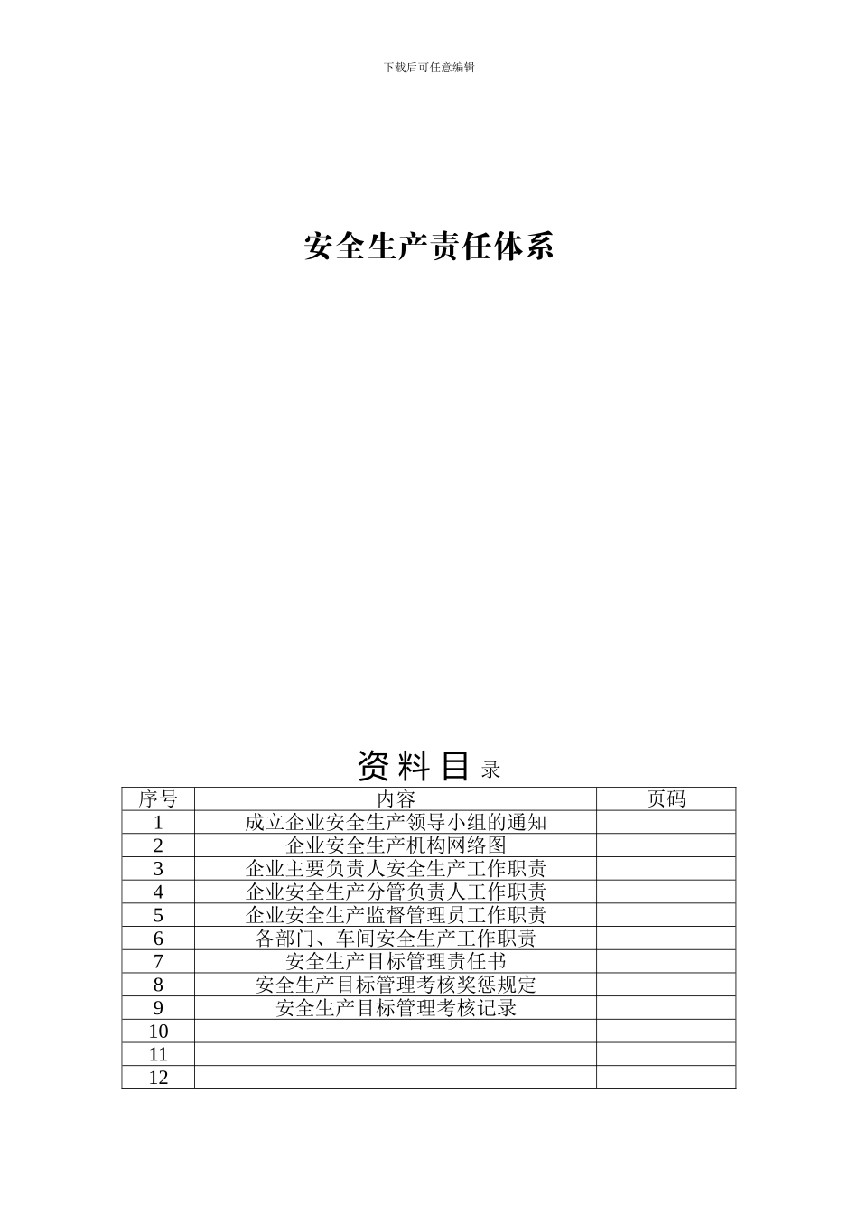 安全生产责任体系._第1页