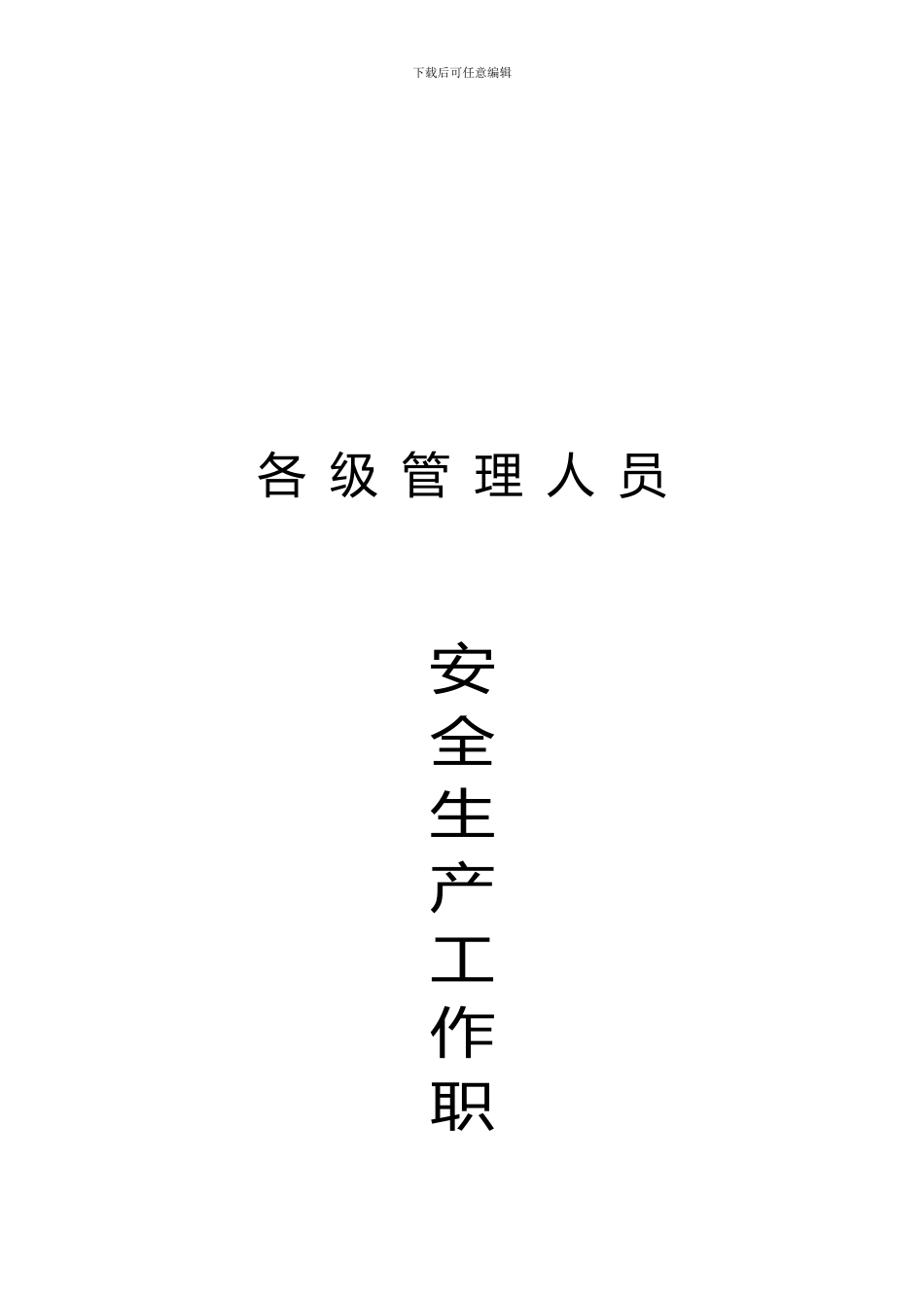安全生产责任体系._第3页