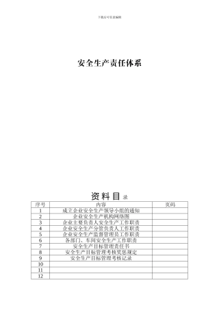 安全生产责任体系.