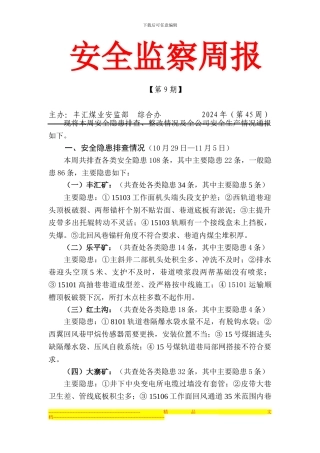 安全监察周报45周20241104