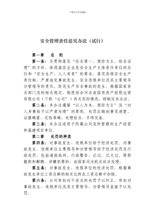 安全管理责任追究办法(.