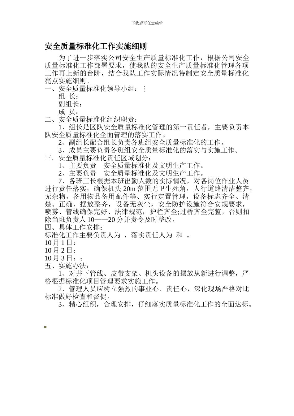 安全质量标准化实施细则._第1页