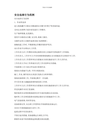 安全违章行为范例.