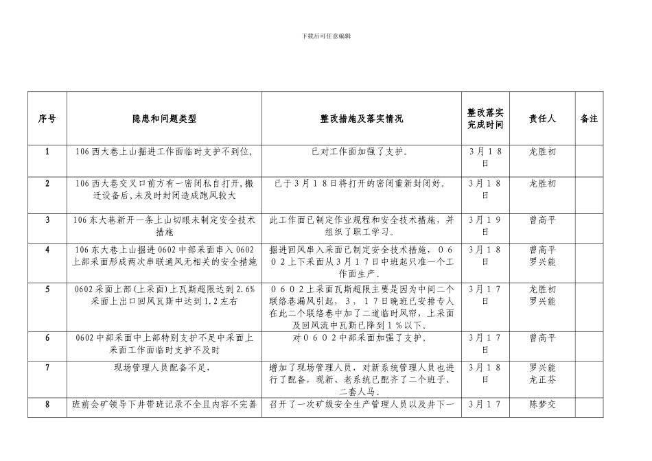 安全隐患和问题整改落实责任表317_第1页