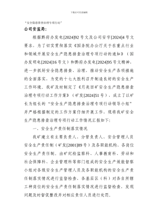 安全隐患排查治理专项行动工作汇报.