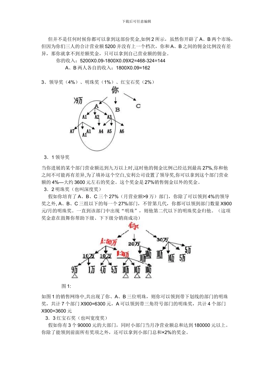 安利公司奖金制度_第2页