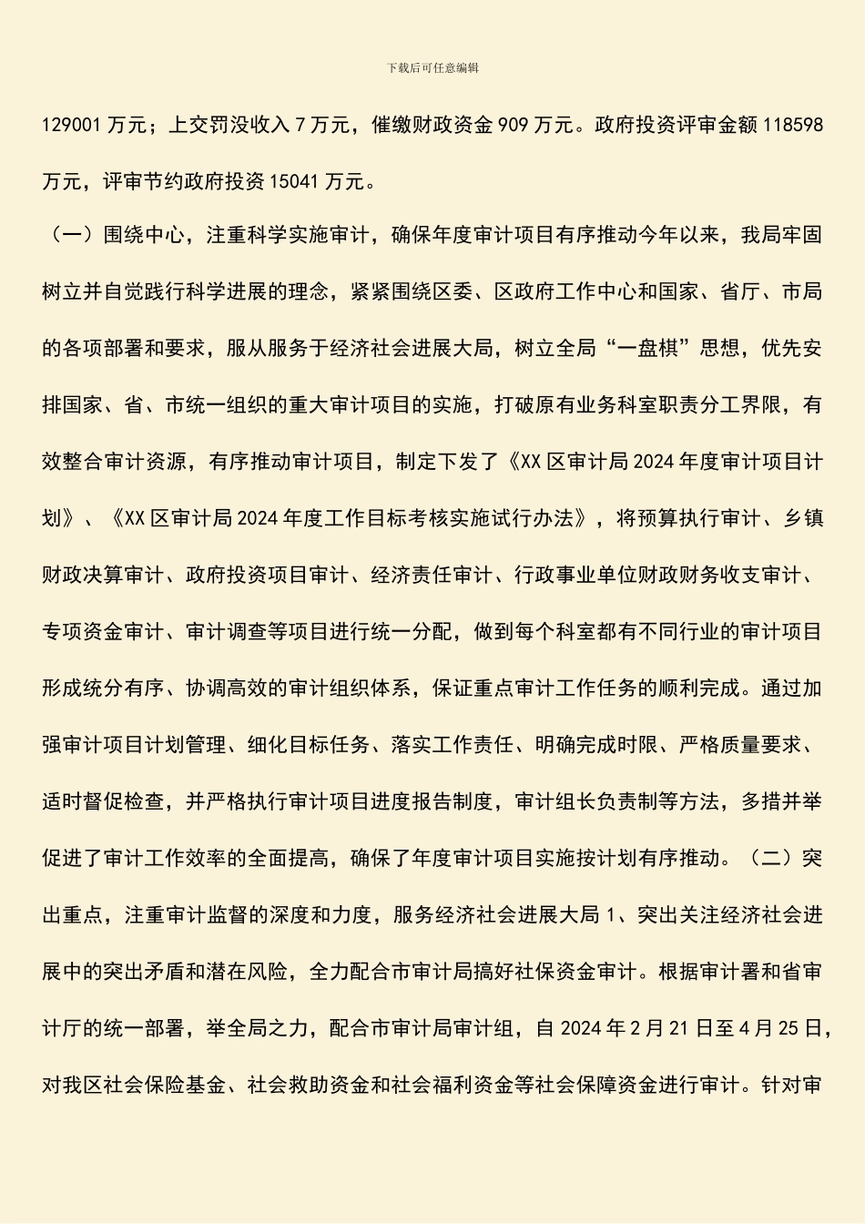 审计局年终工作总结_第2页