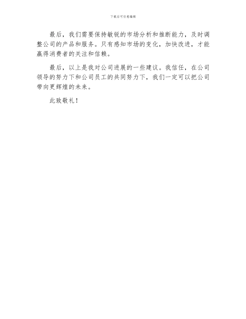 对公司发展的建议_第3页