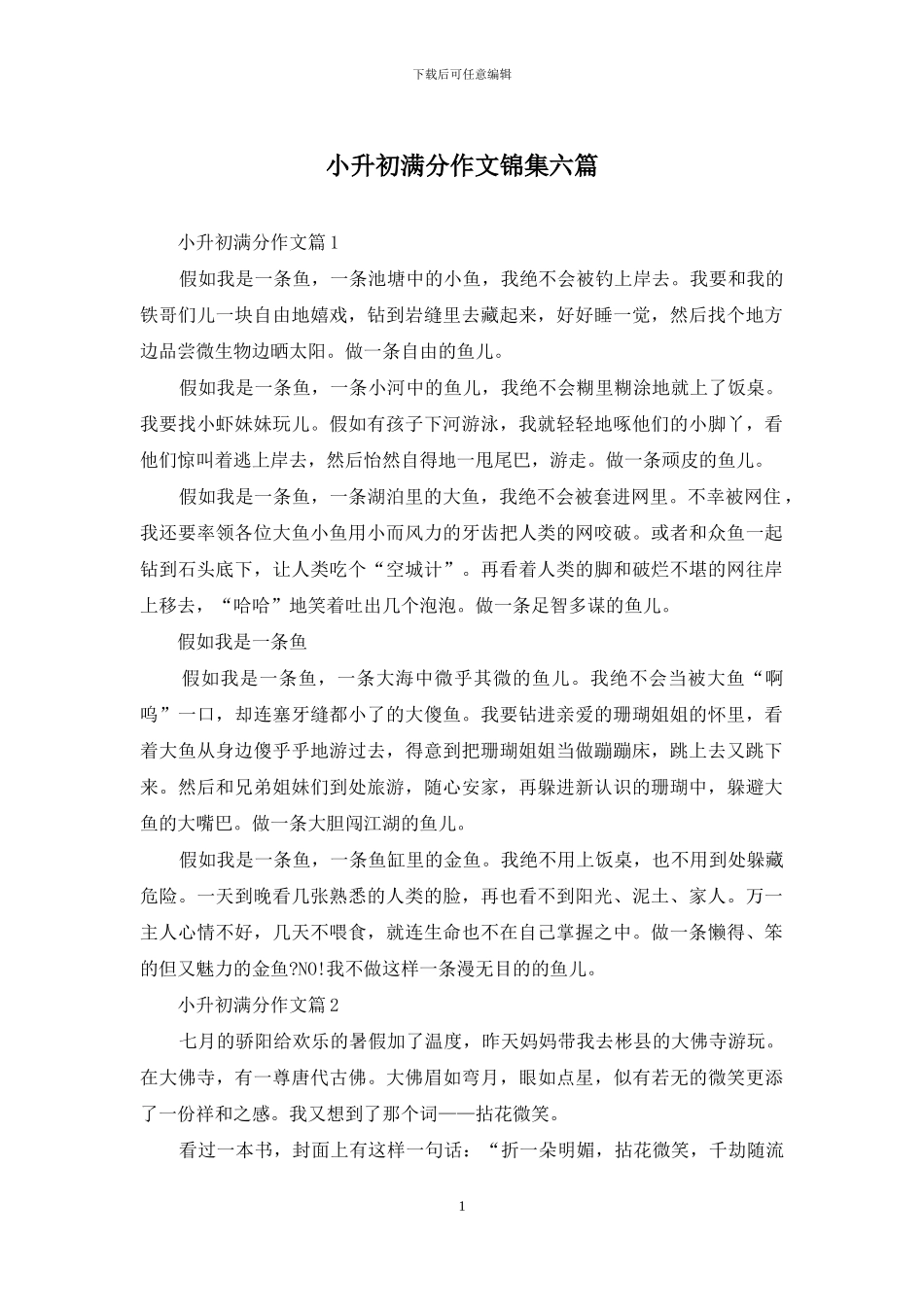 小升初满分作文锦集六篇(1)_第1页