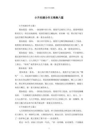 小升初满分作文锦集六篇(1)
