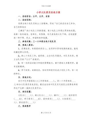 小学大队委员改选方案