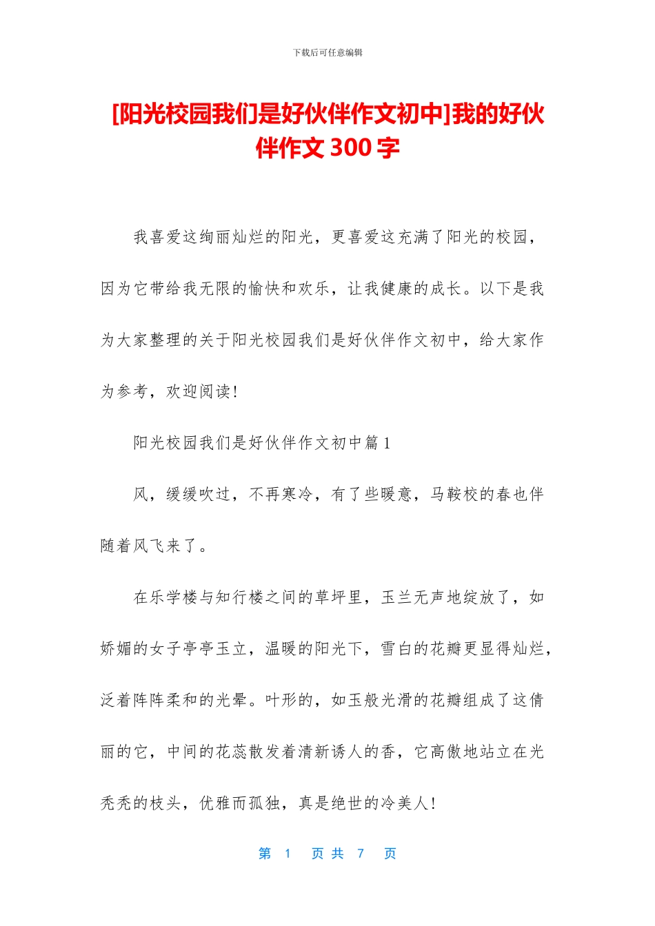 我的好伙伴作文300字(1)_第1页